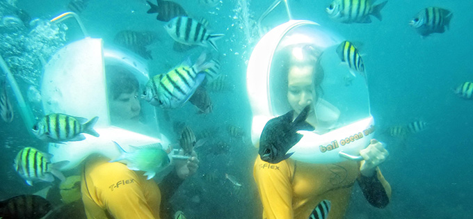 オーシャンウォーカー