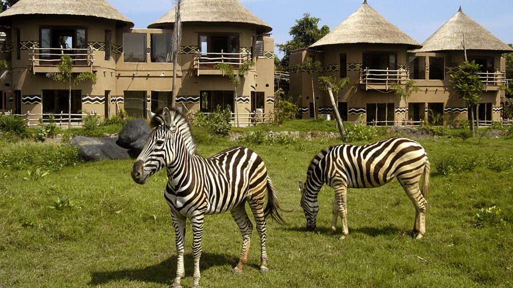 bali safari & marine park