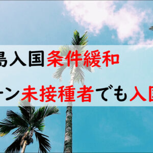 バリ島渡航規制緩和！ワクチン未接種者でも入国可能に【2023年6月9日より】