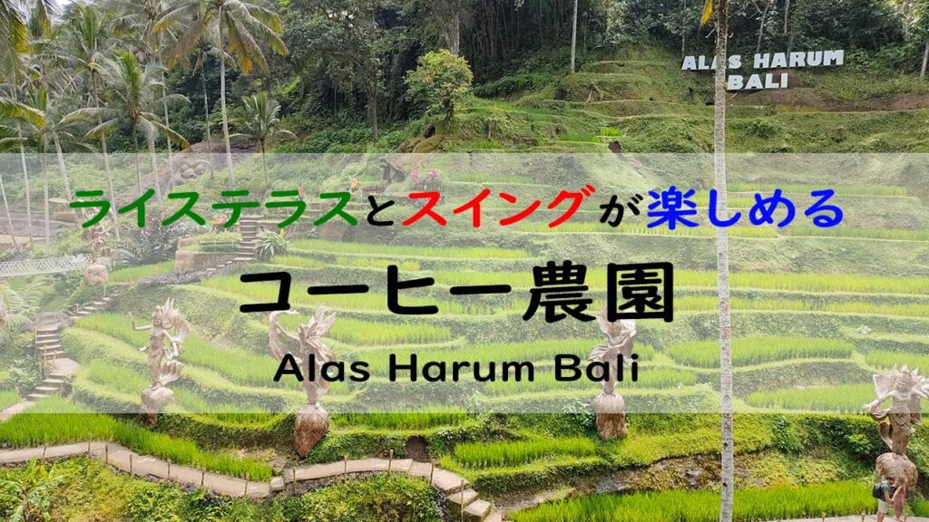 ライステラスとスイングを楽しめるテガラランのコーヒー農園Alas Harum Bali