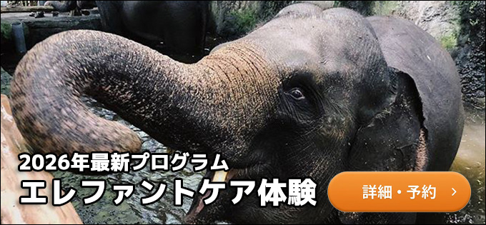 バリサファリ＆マリンパークへのリンク