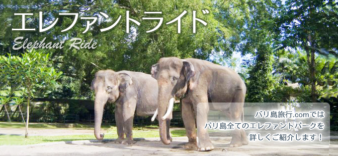 エレファントライドトップ画像