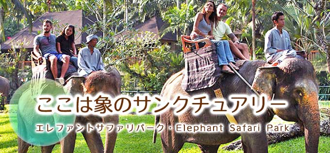 エレファント・サファリパークの格安予約ならバリ島旅行.comにお任せ！