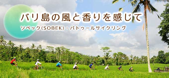 ソベック社ウブドサイクリングの予約、手配ならバリ島旅行.comにお任せ！