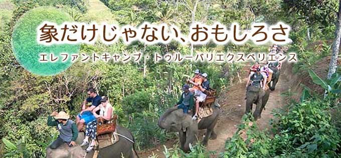 エレファント・キャンプの格安予約ならバリ島旅行.comにお任せ！