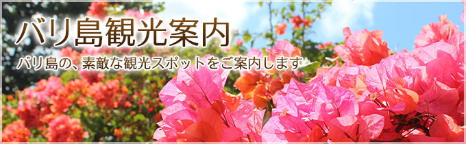 バリ島観光案内