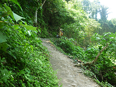 遊歩道