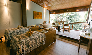 Green Leaf Wellness & Spa