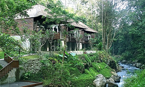 Maya Ubud